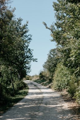 Balaton földes út